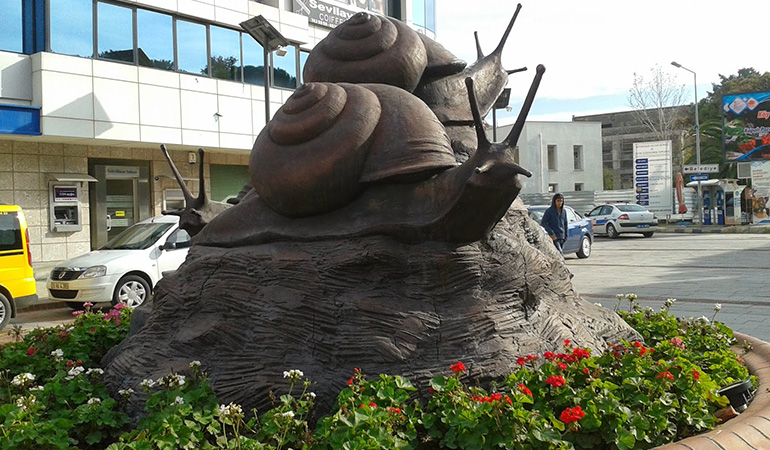 Tour Image