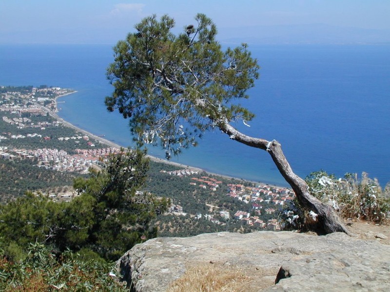 Tur Görseli