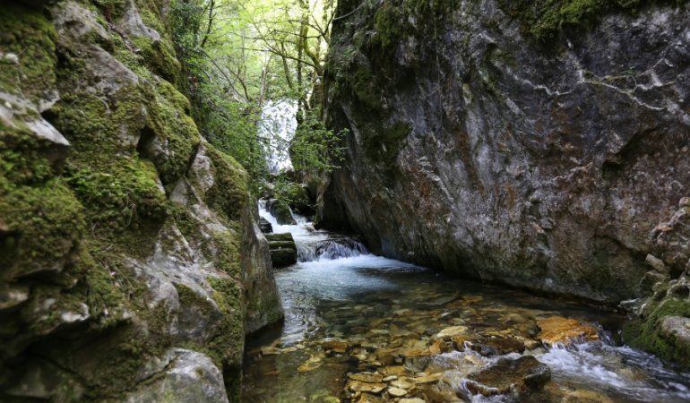 Tour Image