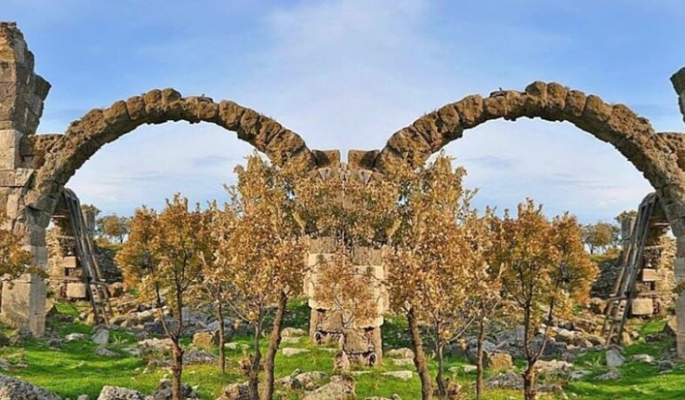 Tour Image