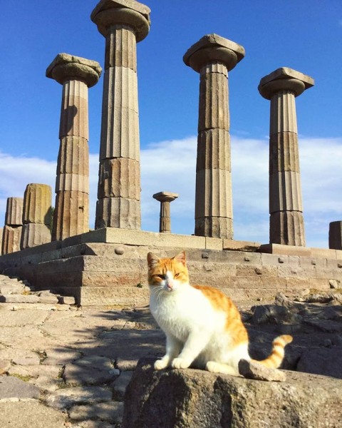 Tour Image