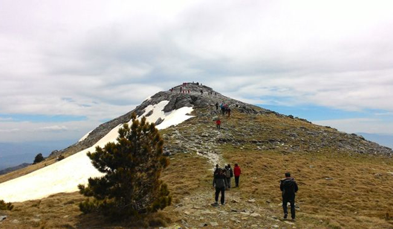 Tour Image